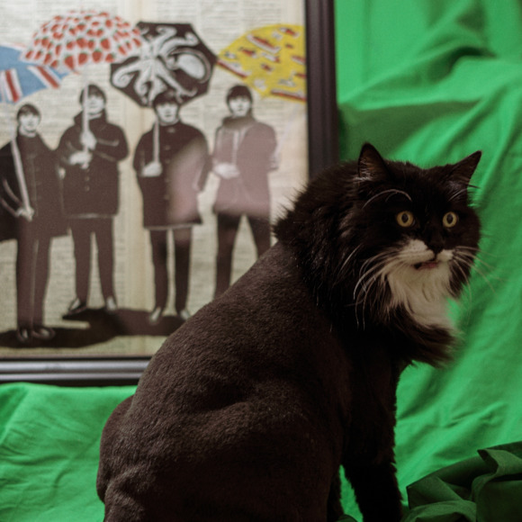 whinycat